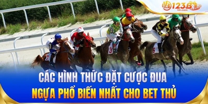 Các hình thức đặt cược đua ngựa phổ biến nhất cho bet thủ