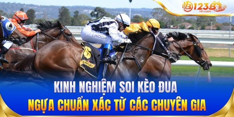 Kinh nghiệm soi kèo đua ngựa chuẩn xác từ các chuyên gia